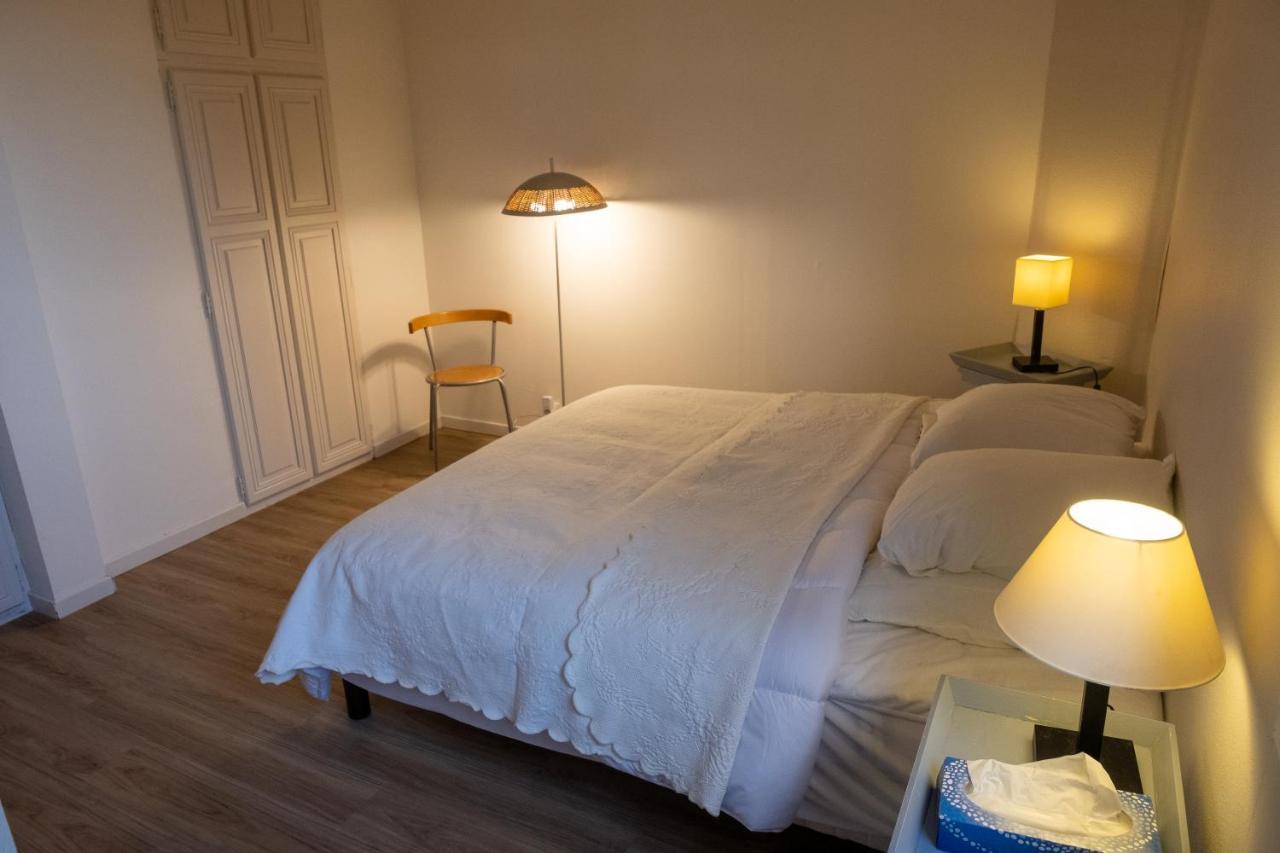 Appartement De Plain-Pied En Montagne Avec Vue Merveilleuse Sur Le Massif De Belledonne Saint Bernard du Touvet المظهر الخارجي الصورة