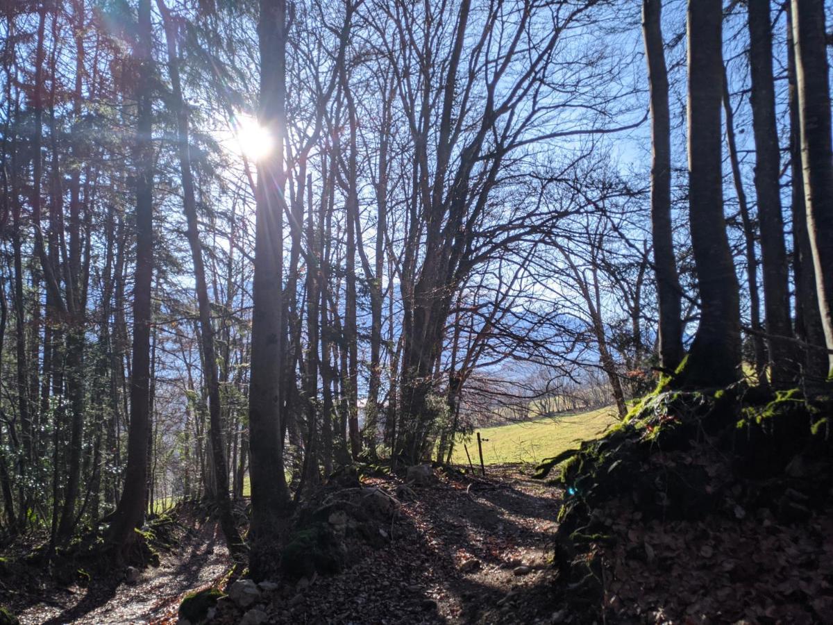 Appartement De Plain-Pied En Montagne Avec Vue Merveilleuse Sur Le Massif De Belledonne Saint Bernard du Touvet المظهر الخارجي الصورة