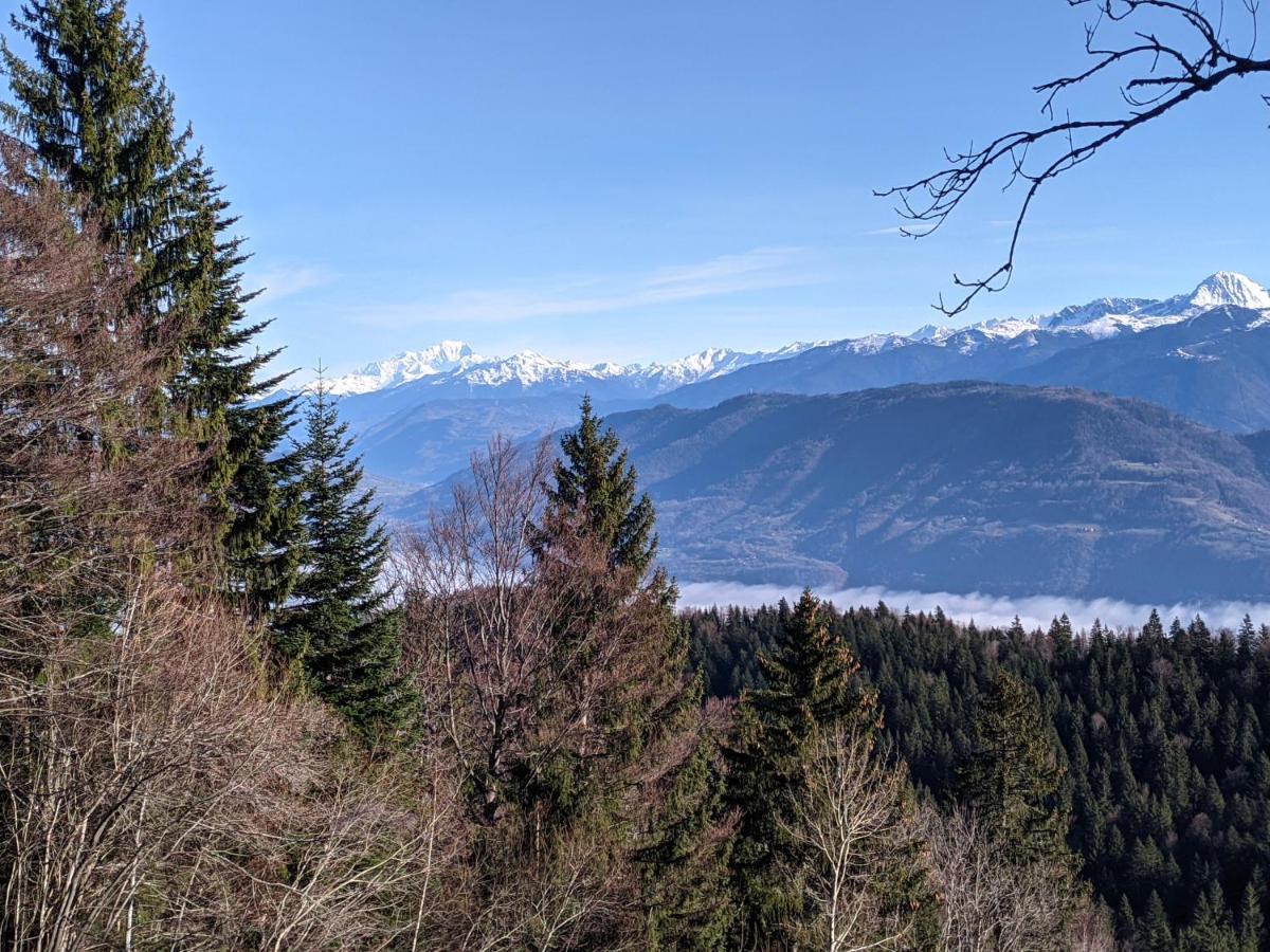 Appartement De Plain-Pied En Montagne Avec Vue Merveilleuse Sur Le Massif De Belledonne Saint Bernard du Touvet المظهر الخارجي الصورة