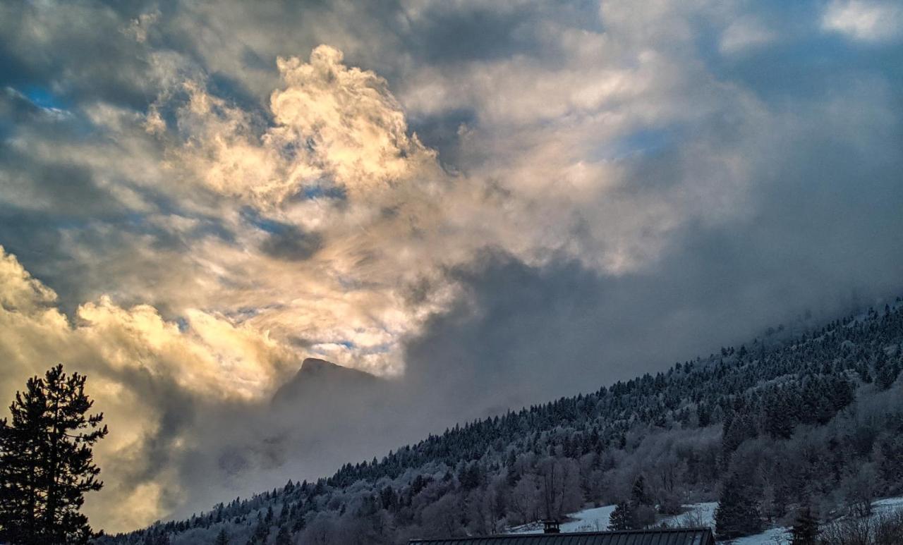 Appartement De Plain-Pied En Montagne Avec Vue Merveilleuse Sur Le Massif De Belledonne Saint Bernard du Touvet المظهر الخارجي الصورة